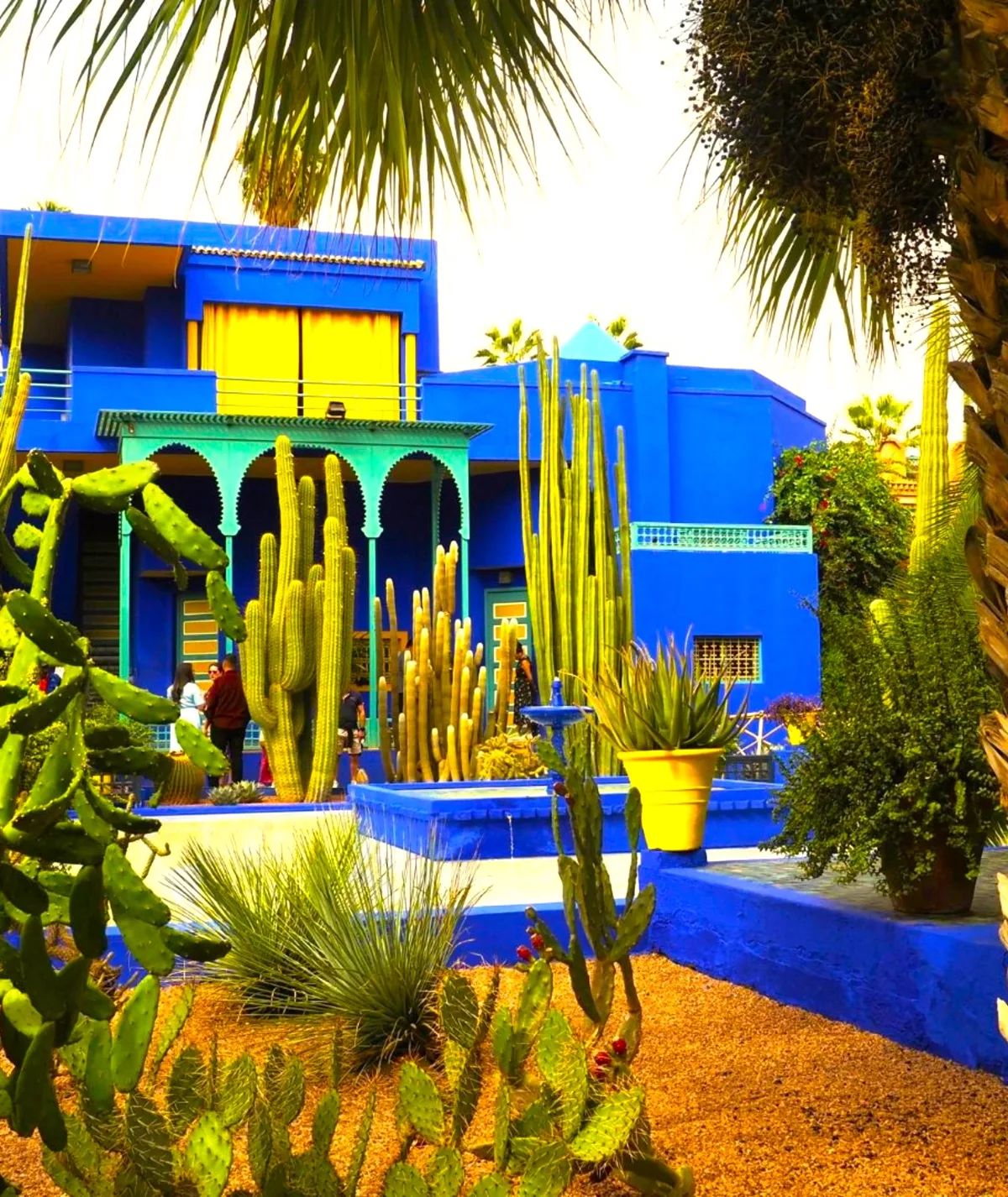 La villa bleue du Jardin Majorelle et ses cactus